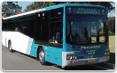 picture of a bus